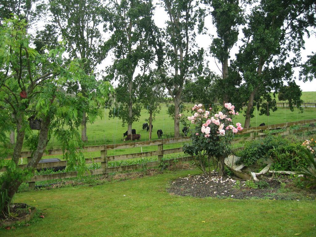 Miranda Orchard Cottage Kültér fotó