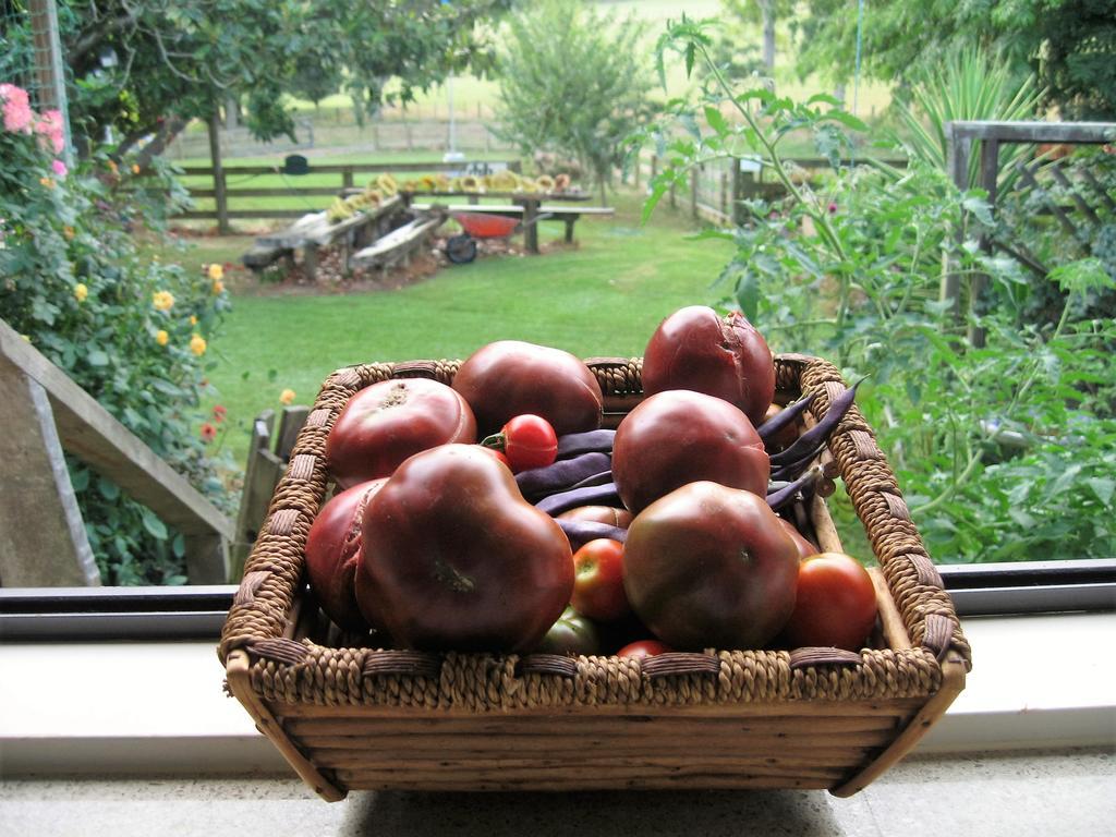 Miranda Orchard Cottage Kültér fotó